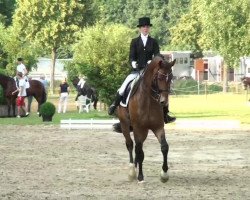 dressage horse Rubin Hit (Oldenburg, 2004, from Rubin Royal OLD)