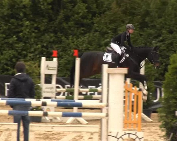 jumper Bon Jovi 75 (Hanoverian, 2004, from Belissimo NRW)