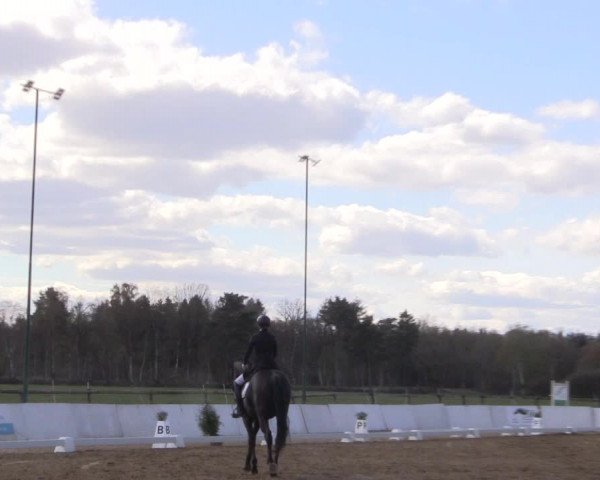 Reitturnier Bremervörde/Reitsportzentrum 2021