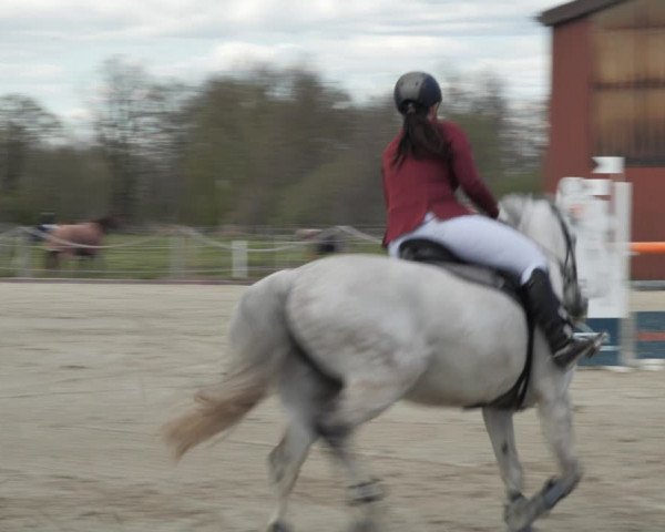 Reitturnier Handorf 2021