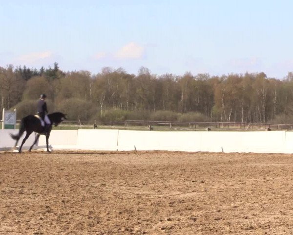 Reitturnier Bremervörde/Reitsportzentrum 2021