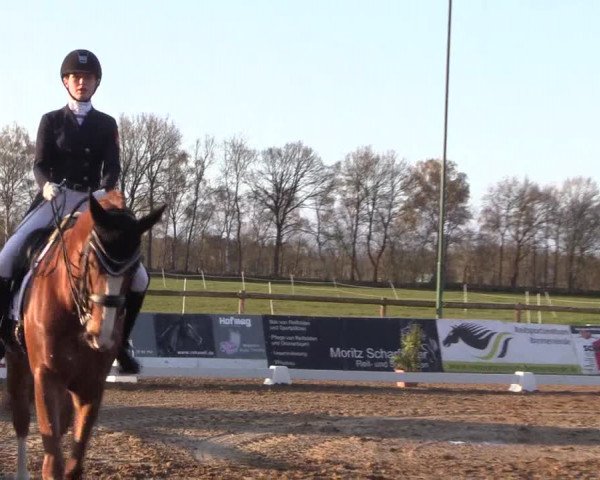 Reitturnier Bremervörde/Reitsportzentrum 2021