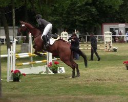 broodmare Lena Lotta (Trakehner, 2004, from Heraldik xx)