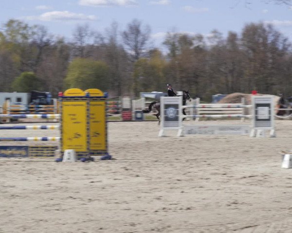 Reitturnier Handorf 2021