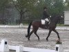 dressage horse Brentley (Hanoverian, 2004, from Brentano II)