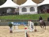 jumper Carlo 294 (Holsteiner, 2002, from Contender)