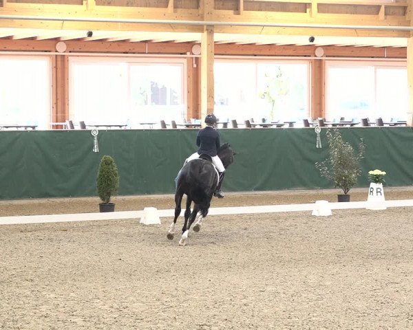 Reitturnier Dielsdorf, Horsepark 2021