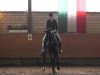 dressage horse Silbermond 15 (Westphalian, 2004, from Show Star)