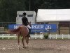 broodmare Dornika 3 (German Riding Pony, 2001, from Dornik B)