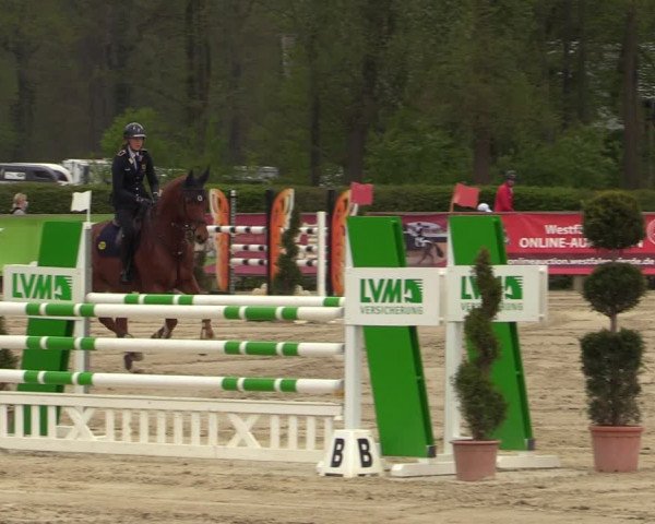 Reitturnier Münster-Handorf 2021