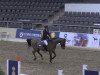 jumper Amicus 40 (Hanoverian, 2005, from Askari)