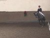 dressage horse Tacco 25 (KWPN (Royal Dutch Sporthorse), 2000, from Landeur)