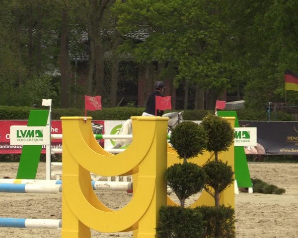 Reitturnier Münster-Handorf 2021