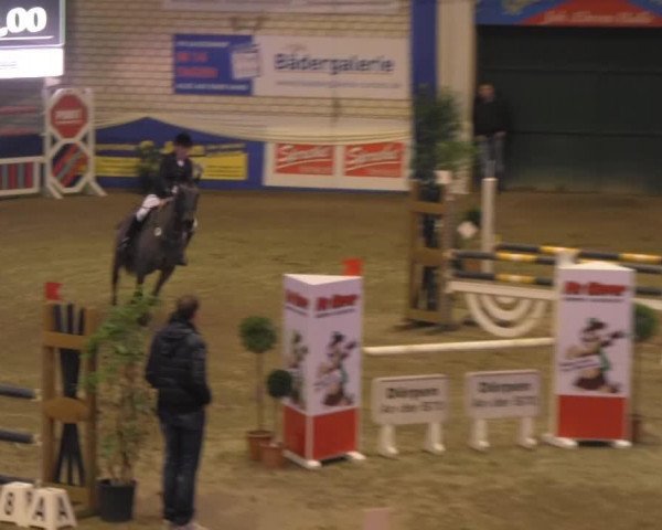 jumper Champus HH (Hanoverian, 1996, from Contender)