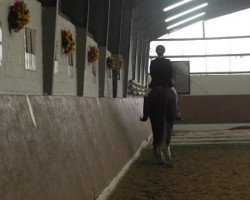 dressage horse Bugatti K (Hanoverian, 2004, from Belissimo NRW)