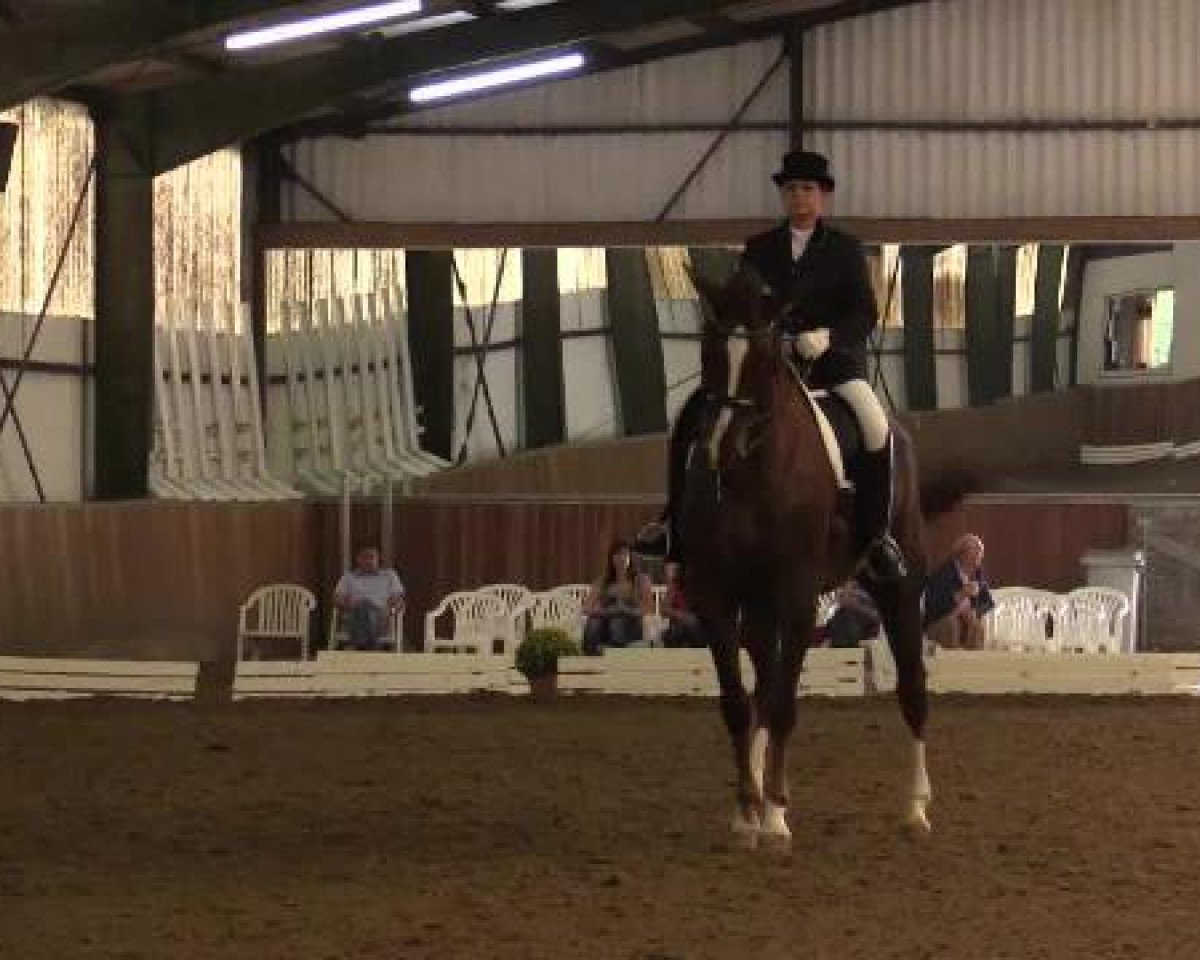 dressage horse Watteau Rouge (Rhinelander, 2004, from Waky-Nao)