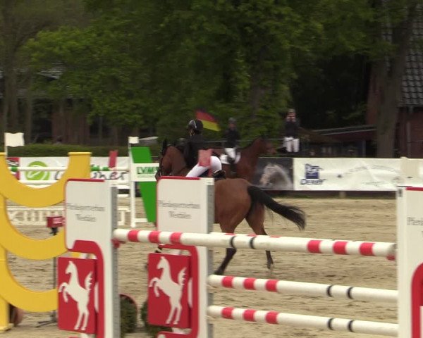 Reitturnier Münster-Handorf 2021