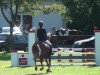 jumper Neele 17 (German Riding Pony, 1999, from Newton-Star)