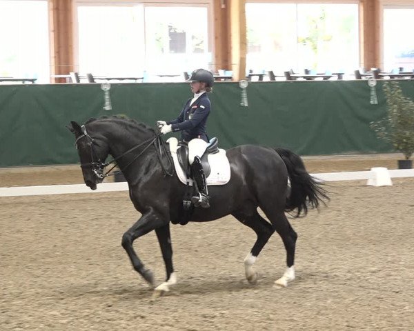 Reitturnier Dielsdorf, Horsepark 2021