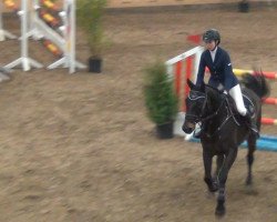 jumper Stakkadero (Hanoverian, 2006, from Stakkato)