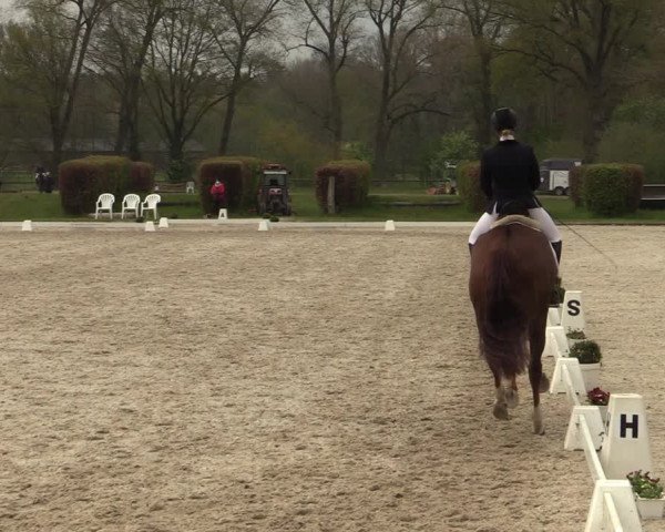 Reitturnier Münster-Handorf 2021