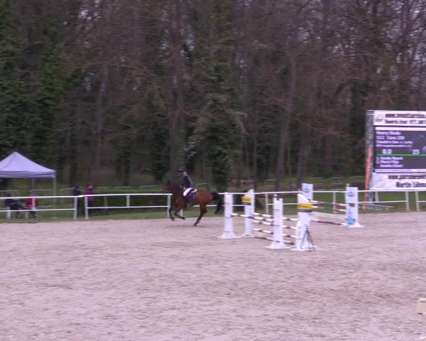 Reitturnier Prussendorf 2021