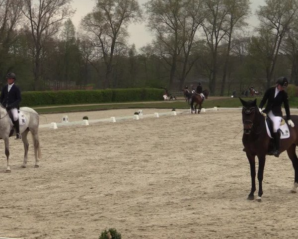 Reitturnier Münster-Handorf 2021
