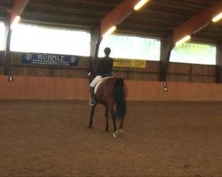 dressage horse Classyco (Oldenburg, 1993, from Classiker)