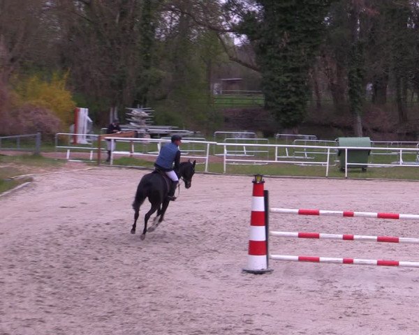 Reitturnier Prussendorf 2021