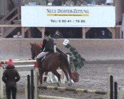 jumper Rastelli 37 (Hanoverian, 2005, from Rotspon)