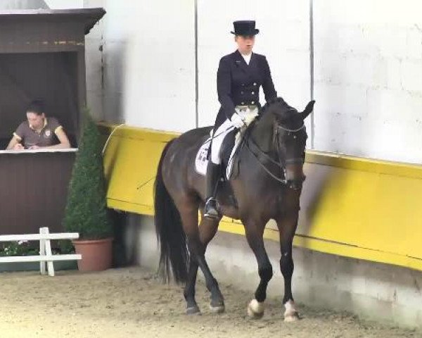 dressage horse Rossano 3 (Hanoverian, 2003, from Rotspon)