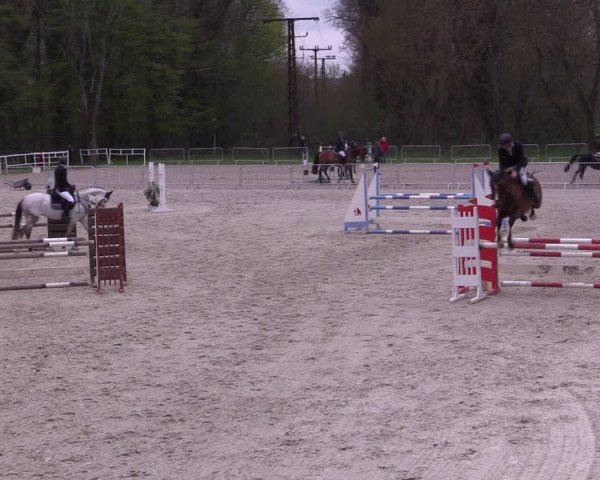 Reitturnier Prussendorf 2021