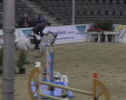 broodmare Baloudette (Oldenburg show jumper, 2004, from Baloubet du Rouet)