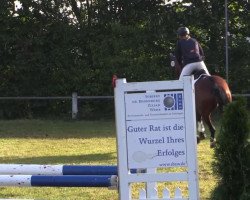 jumper Daniel Düsentrieb (Hanoverian, 2000, from Davignon I)