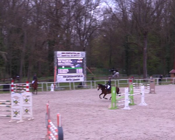 Reitturnier Prussendorf 2021