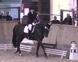 dressage horse Duke of Darkness (Württemberger, 1999, from Dornenkönig)