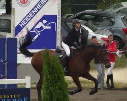 Springpferd Bonny (Sachsen-Anhaltiner, 1999, von Bernstein B)