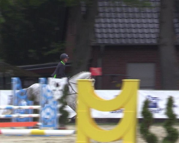 Reitturnier Münster-Handorf 2021