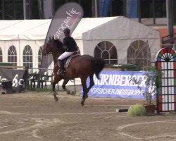 Springpferd Roulon van het Spaans Kwartier (Belgium Sporthorse, 2001, von Toulon)