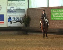 dressage horse Wild Runner xx (Thoroughbred, 1999, from Peking Opera xx)