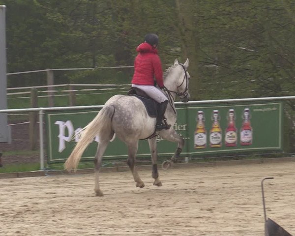 Reitturnier Oelde 2021