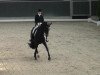 dressage horse Amicelli (Rhinelander, 2003, from Abanos)