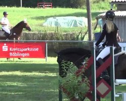 jumper Lui 74 (German Sport Horse, 2006, from Lichtblick TSF)