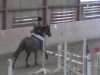 jumper Esja 4 (Hanoverian, 2004, from El Bundy)