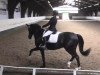 dressage horse Tetti-Bara (Oldenburg, 2001, from Harvard)