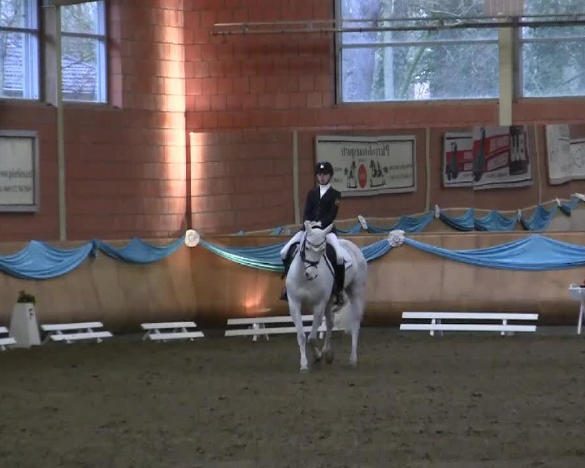 Dressurpferd Grenzhoehes Ivory (Deutsches Reitpony, 2005, von Monte Christo)
