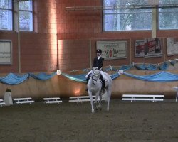 dressage horse Grenzhoehes Ivory (German Riding Pony, 2005, from Monte Christo)