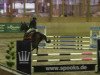 jumper Cairo (German Sport Horse, 2006, from Cashmaker)