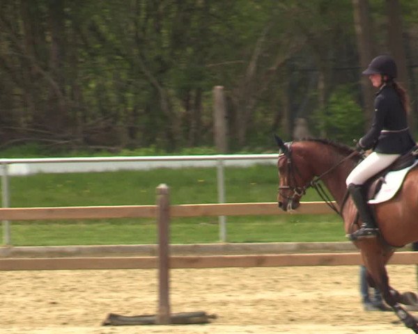 Reitturnier Oelde 2021