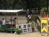 jumper Rilana 62 (German Sport Horse, 2004, from Rutowski)